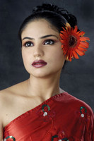 anandita0154