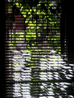 IMG_20200326_091056