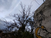 IMG_20200326_182003