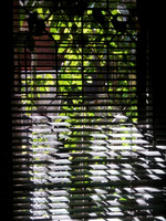 IMG_20200326_091100
