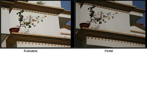 exposure 8 comparisons 6