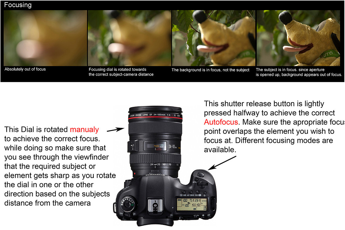 Best online Photography course