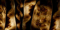 Waves of Harmony