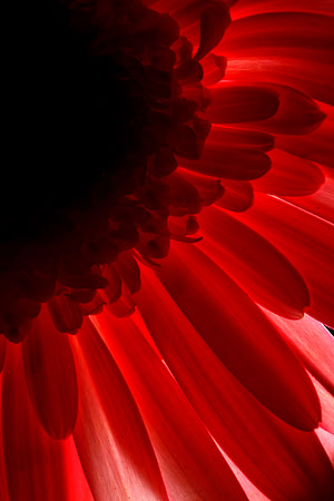 abstracts