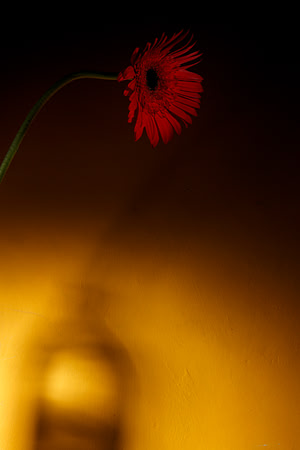 abstracts