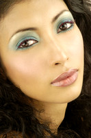 fri vidya laxmi0184