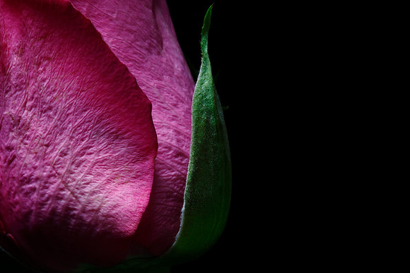 pure